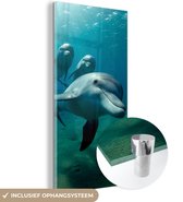 MuchoWow® Glasschilderij 20x40 cm - Schilderij acrylglas - Water - Dolfijn - Blauw - Foto op glas - Schilderijen