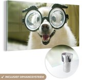 MuchoWow® Glasschilderij 80x40 cm - Schilderij acrylglas - Dier - Hond - Bril - Foto op glas - Schilderijen