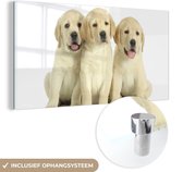 MuchoWow® Glasschilderij 160x80 cm - Schilderij acrylglas - Schattige Labrador Retriever puppy's - Foto op glas - Schilderijen