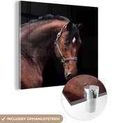 MuchoWow® Glasschilderij 90x90 cm - Schilderij acrylglas - Paard - Halster - Bruin - Foto op glas - Schilderijen