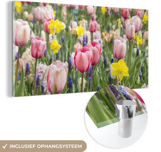 MuchoWow® Glasschilderij 120x60 cm - Schilderij acrylglas - Een veld met tulpen, narcissen en blauwe druiven - Foto op glas - Schilderijen