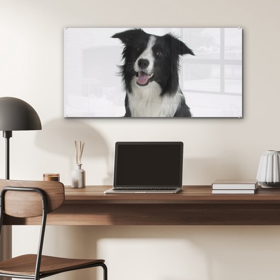 MuchoWow® Tableau sur Verre - Photo Portrait d'un Bon Border Collie Assis - 80x40 cm - Peintures sur Verre Acrylique - Photo sur Glas
