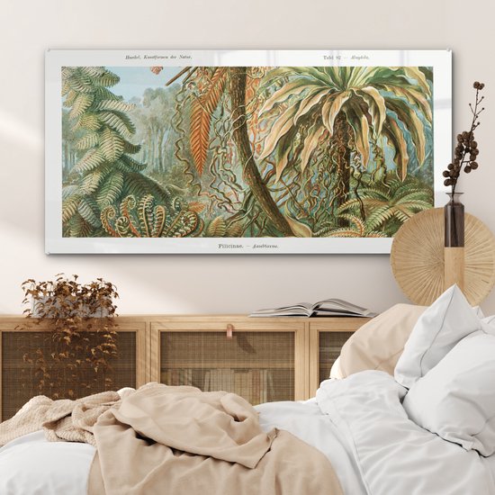 MuchoWow® Peinture sur Verre - Vintage - Maîtres Anciens - Fougères - Plantes - Nature - 120x60 cm - Peintures sur Verre Acrylique - Photo sur Glas