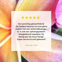 Product afbeelding  10