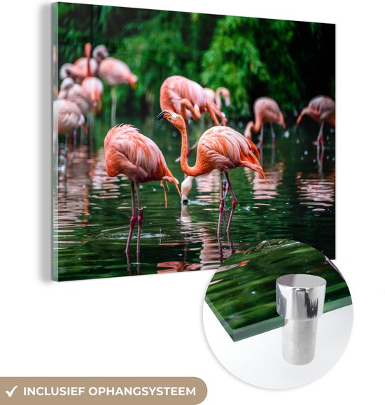 MuchoWow - Glasschilderij - Foto op glas - Acrylglas - Vogel - Water - Flamingo - Tropical - Dieren - Wanddecoratie - 120x90 cm - Muurdecoratie - Schilderij glas - Glasschilderij dieren