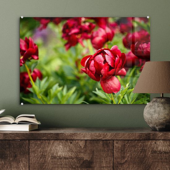 MuchoWow® Peinture sur verre 60x40 cm - Peinture sur verre acrylique - Un jardin rempli de pivoines rouges - Photo sur verre - Peintures