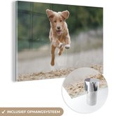 MuchoWow® Glasschilderij 90x60 cm - Schilderij acrylglas - Rennende hond foto - Foto op glas - Schilderijen