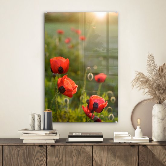 Coquelicots au soleil couchant plexiglas 40x60 cm - Tirage photo sur Glas (Décoration murale en plexiglas)