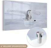 MuchoWow® Glasschilderij 120x60 cm - Schilderij acrylglas - Uil met gespreide vleugels - Foto op glas - Schilderijen
