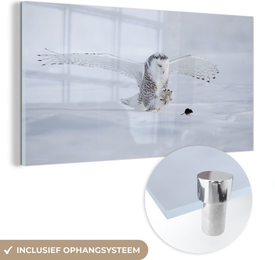 ® Glasschilderij 120x60 cm - Schilderij acrylglas - Uil met gespreide vleugels - Foto op glas - Muurdecoratie woonkamer - Wanddecoratie slaapkamer - Schilderijen