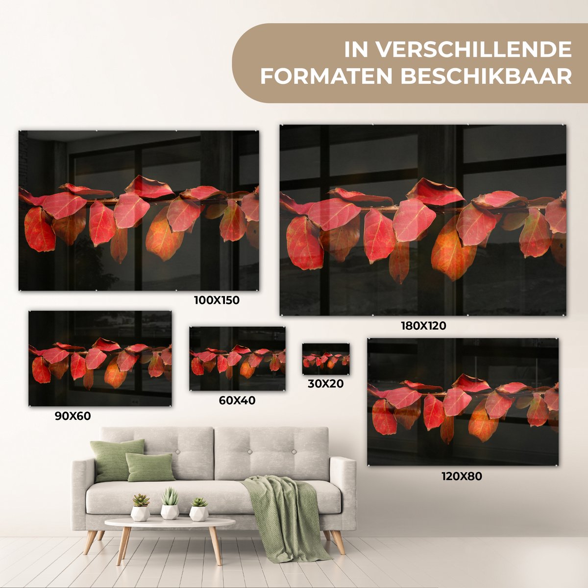 MuchoWow® Peinture sur Verre - Les Feuilles Rouges sur Fond Noir