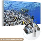 MuchoWow® Glasschilderij 160x80 cm - Schilderij acrylglas - Onderwater rif met vissen - Foto op glas - Schilderijen