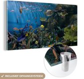 MuchoWow® Glasschilderij 80x40 cm - Schilderij acrylglas - Levendige onderwaterwereld - Foto op glas - Schilderijen