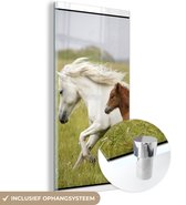 MuchoWow® Glasschilderij 60x120 cm - Schilderij acrylglas - Paarden - Dieren - Gras - Foto op glas - Schilderijen