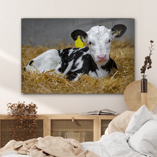 MuchoWow® Glasschilderij 120x80 cm - Schilderij acrylglas - Koe - Stro - Kalf - Dier - Foto op glas - Schilderijen