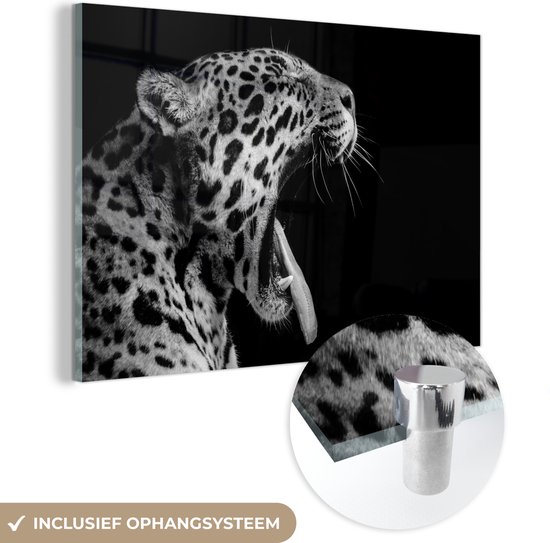 MuchoWow® Peinture sur Verre - Jaguar - Animal - Zwart - Wit - 150x100 cm - Peintures sur Verre Acrylique - Photo sur Glas