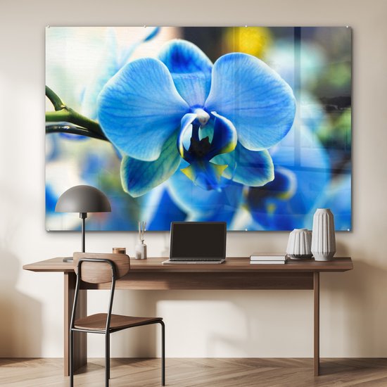 Peinture sur verre - Gros plan d'une orchidée bleue avec un arrière-plan flou - 180x120 cm - Peintures sur Verre Peintures - Photo sur Glas