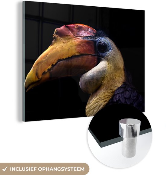 MuchoWow® Glasschilderij 120x90 cm - Schilderij acrylglas - Vogel - Snavel - Zwart - Foto op glas - Schilderijen