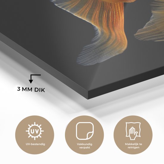 MuchoWow® Peinture sur verre - Poisson rouge - Animaux - Zwart - 30x20 cm - Peintures sur verre acrylique - Photo sur Glas