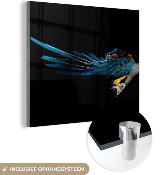 MuchoWow® Glasschilderij 20x20 cm - Schilderij acrylglas - Vogel - Veren - Tak - Zwart - Foto op glas - Schilderijen