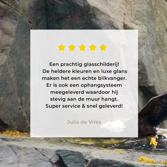 MuchoWow® Peinture sur verre 80x60 cm - Peinture sur verre acrylique - Pygargue à queue blanche près des rochers du Cap Breton - Photo sur verre - Peintures