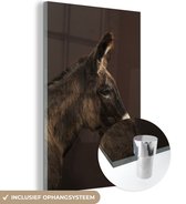 MuchoWow® Glasschilderij 60x90 cm - Schilderij acrylglas - zijaanzicht van een ezel - Foto op glas - Schilderijen