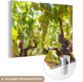 MuchoWow® Glasschilderij 60x40 cm - Schilderij acrylglas - Druiven aan een tak - Foto op glas - Schilderijen