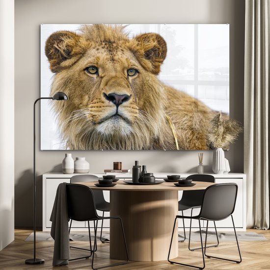 MuchoWow® Glasschilderij 180x120 cm - Schilderij acrylglas - Leeuw - Potret - Vacht - Foto op glas - Schilderijen