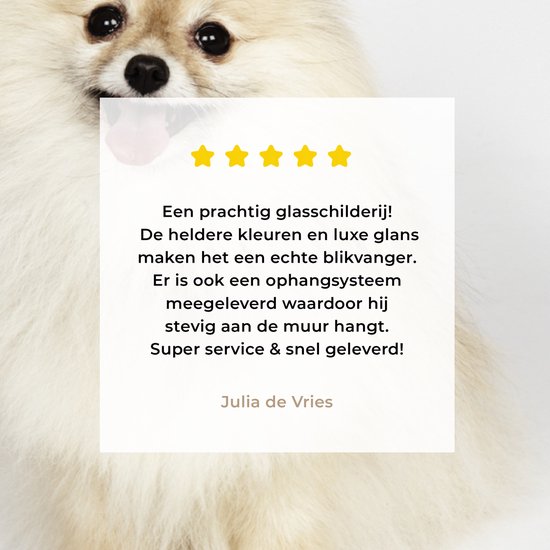 MuchoWow® Peinture sur verre 90x60 cm - Peinture acrylique sur verre - Poméranien joyeux - Photo sur verre - Peintures