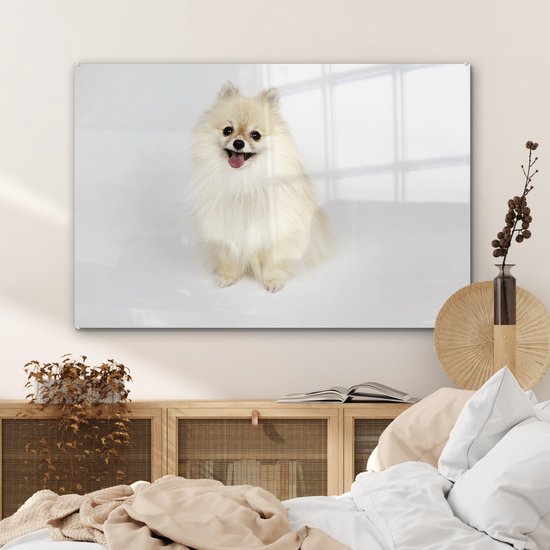 MuchoWow® Peinture sur verre 90x60 cm - Peinture acrylique sur verre - Poméranien joyeux - Photo sur verre - Peintures