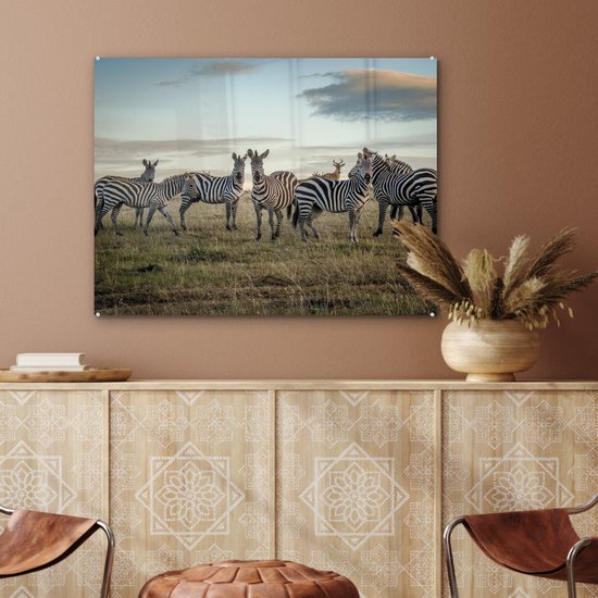 ® Glasschilderij 80x60 cm - Schilderij acrylglas - Zebra's in Kenia - Foto op glas - Muurdecoratie woonkamer - Wanddecoratie slaapkamer - Schilderijen