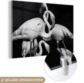 MuchoWow® Glasschilderij 120x80 cm - Schilderij acrylglas - Flamingo's in zwart-wit - Foto op glas - Schilderijen