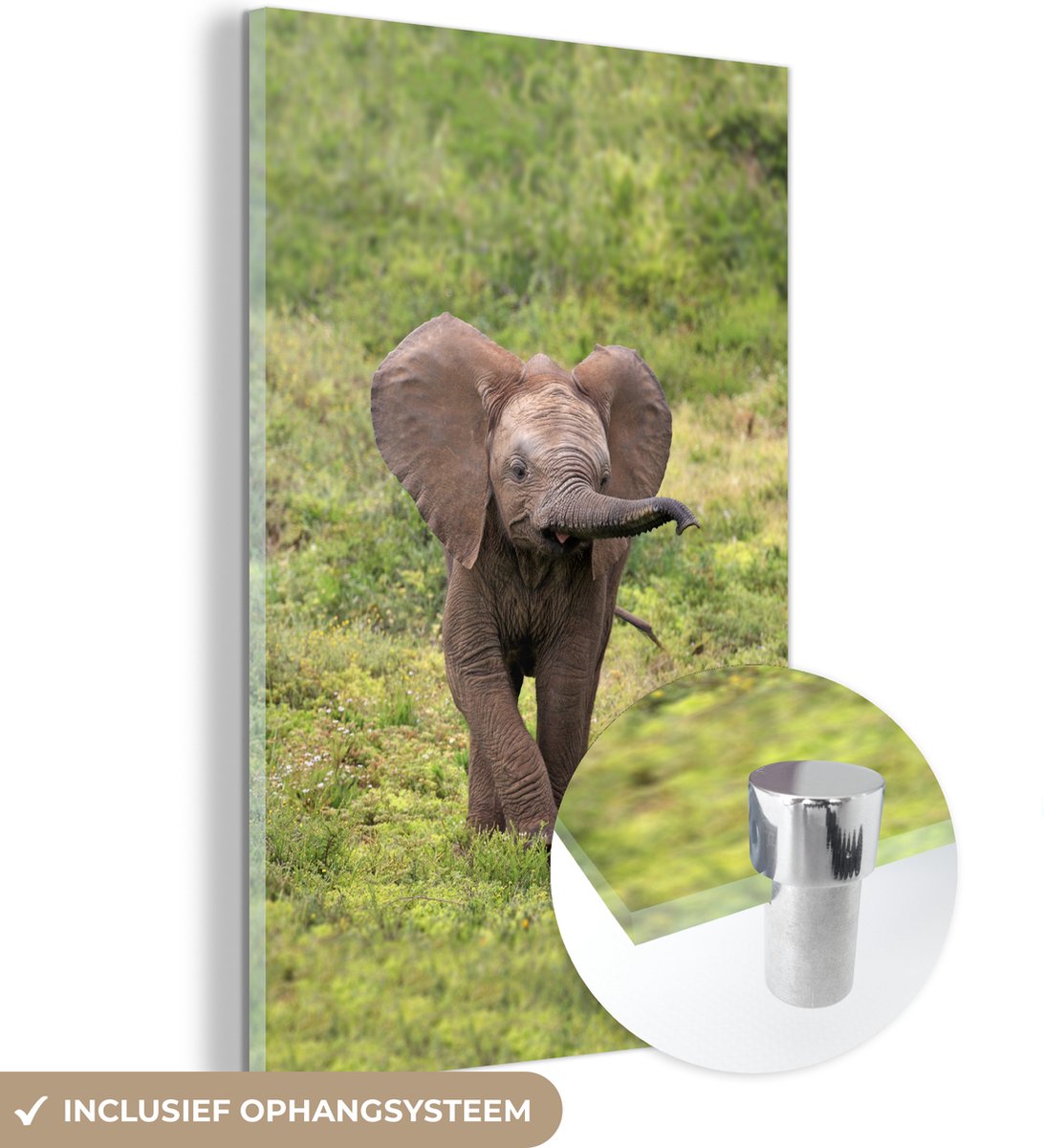 ® Glasschilderij 60x90 cm - Schilderij acrylglas - Baby olifant opzoek naar een prooi - Jongetje - Meisje - Kinderen - Kindje - Foto op glas - Muurdecoratie woonkamer - Wanddecoratie slaapkamer - Schilderijen