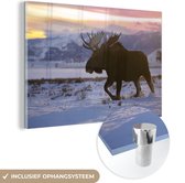 MuchoWow® Glasschilderij 60x40 cm - Schilderij acrylglas - Eland loopt in de sneeuw - Foto op glas - Schilderijen