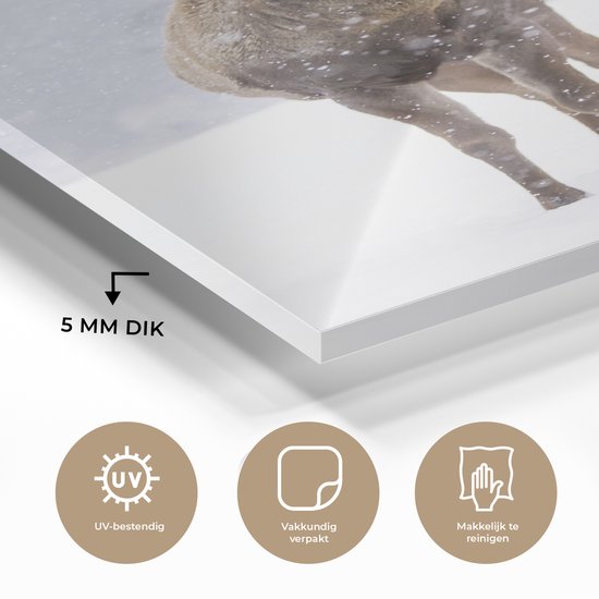 Peintures Plexiglas - Cerf - Bois - Neige - Hiver - 60x90 cm - Peinture sur verre