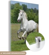 MuchoWow® Glasschilderij 30x40 cm - Schilderij acrylglas - Paarden - Natuur - Wit - Foto op glas - Schilderijen