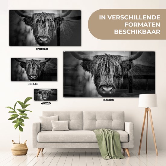 MuchoWow® Peinture sur verre 120x60 cm - Peinture sur verre - Highlander écossais - Lumière - Portrait - Nature - Photo sur verre acrylique - Peintures