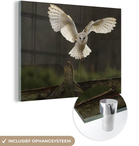 Glasschilderij - Vliegende kerkuil - Acrylglas Schilderijen - Foto op Glas