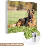 MuchoWow® Glasschilderij 20x20 cm - Schilderij acrylglas - Duitse herdershond ligt op het gras - Foto op glas - Schilderijen