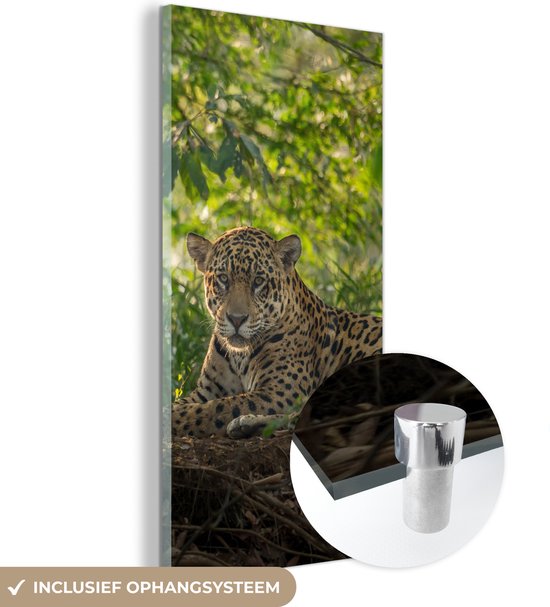 MuchoWow® Glasschilderij 40x80 cm - Schilderij acrylglas - Jaguar in de jungle - Foto op glas - Schilderijen