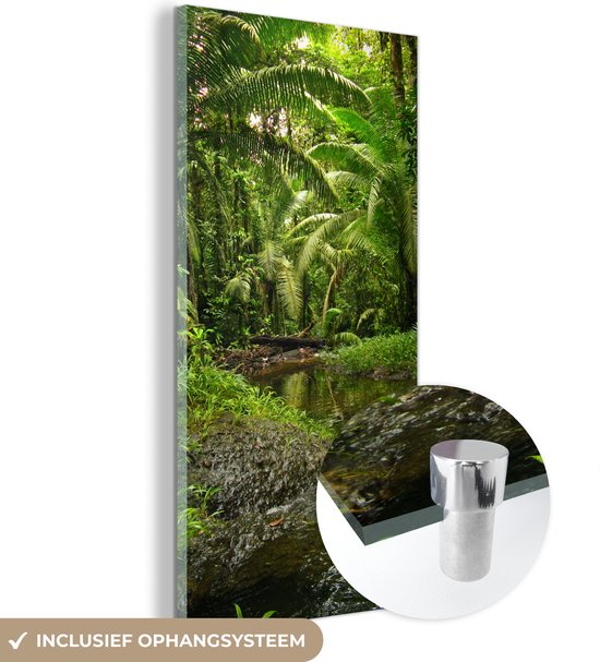 MuchoWow® Glasschilderij 60x120 cm - Schilderij acrylglas - Tropisch regenwoud in Colombia - Foto op glas - Schilderijen