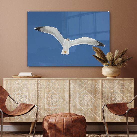 Une photo d'un goéland argenté aux ailes déployées Plexiglas 90x60 cm - Tirage photo sur Glas (décoration murale en plexiglas)