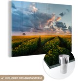 MuchoWow® Glasschilderij 180x120 cm - Schilderij acrylglas - Bloemen - Geel - Zonsondergang - Foto op glas - Schilderijen