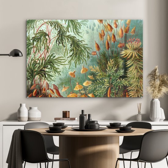 MuchoWow® Glasschilderij 90x60 cm - Schilderij acrylglas - Oude meesters - Kunst - Muscinae - Haeckel - Foto op glas - Schilderijen