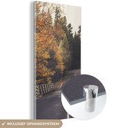 MuchoWow® Glasschilderij 40x80 cm - Schilderij acrylglas - Bomen - Weg - Herfst - Foto op glas - Schilderijen