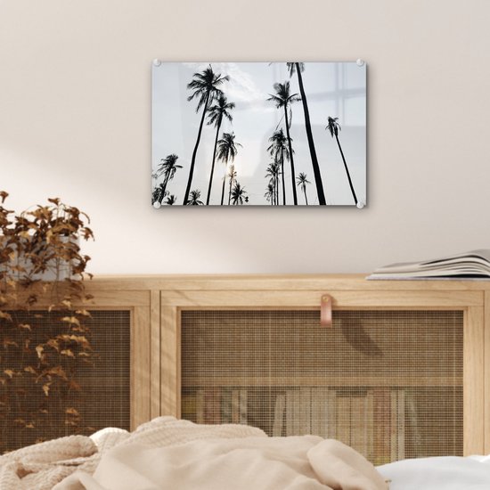 MuchoWow® Glasschilderij 30x20 cm - Schilderij acrylglas - Palmbomen - Zomer - Tropisch - Foto op glas - Schilderijen