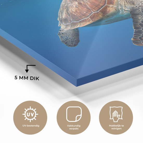 Peintures sur verre - Tortue dans l'océan - 150x100 cm - Peintures Plexiglas