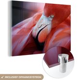 MuchoWow® Glasschilderij 120x80 cm - Schilderij acrylglas - Close-up van een flamingo - Foto op glas - Schilderijen