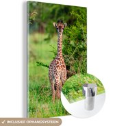 MuchoWow® Glasschilderij 80x120 cm - Schilderij acrylglas - Baby - Giraffe - Planten - Foto op glas - Schilderijen