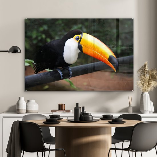 MuchoWow® Peinture sur verre 120x80 cm - Peinture sur verre acrylique - Toucan sur une branche noire au Brésil - Photo sur verre - Peintures